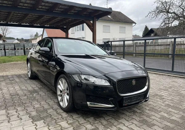 samochody osobowe Jaguar XF cena 69900 przebieg: 38000, rok produkcji 2017 z Szubin